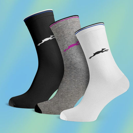 STAG GLOBAL Premium Ankle Socks for Men's and Woman | Official Socks for Summer | Ultra Soft | Pack of 3