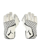 PUMA Future 3 Wicketkeeper Gloves