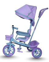 Tricycle With Canopy