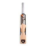 GLS Practice Himachal Willow Tennis Bat