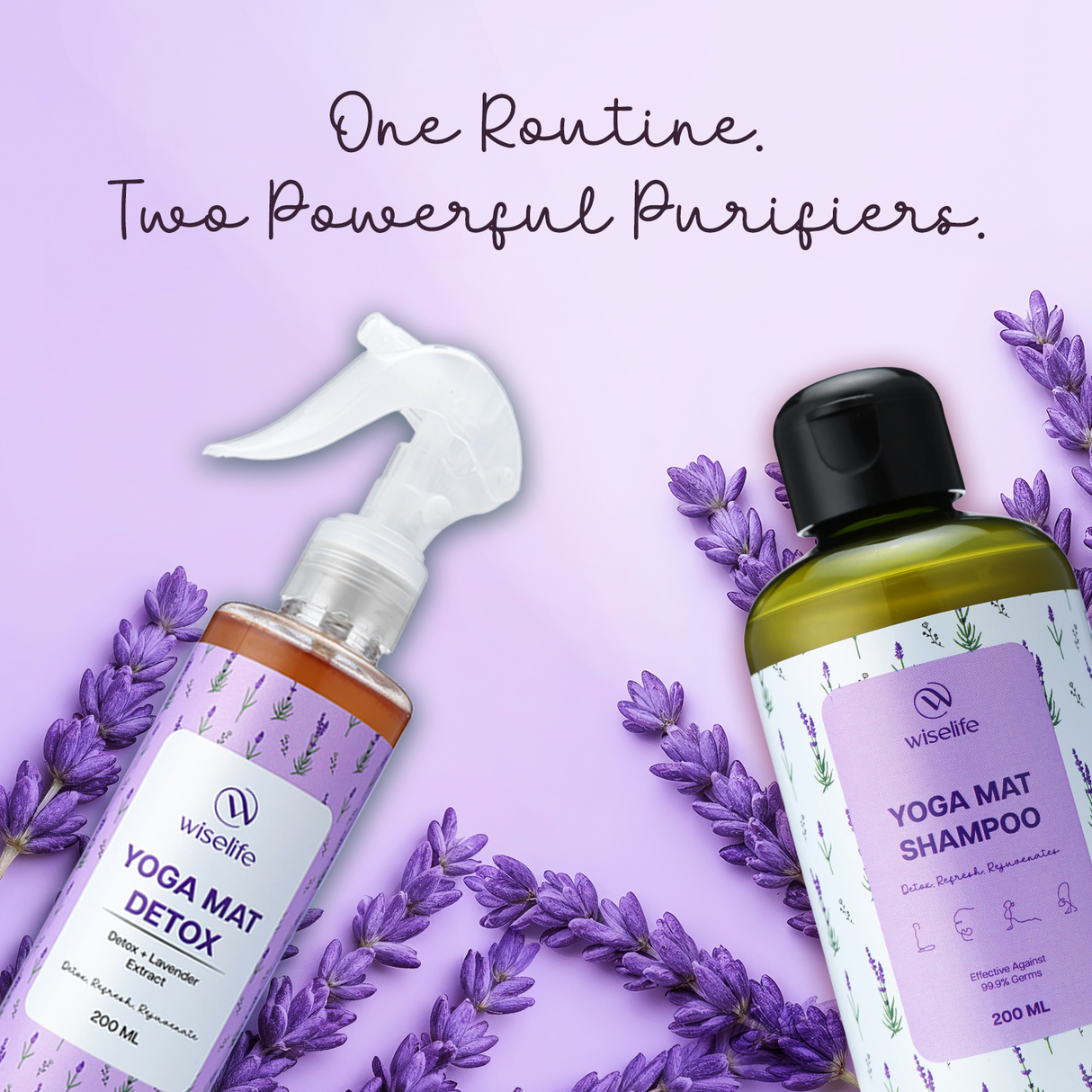 Complete Mat Care Kit - Shampoo & Fresheners (Lavender)