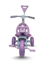 Tricycle With Parental Control