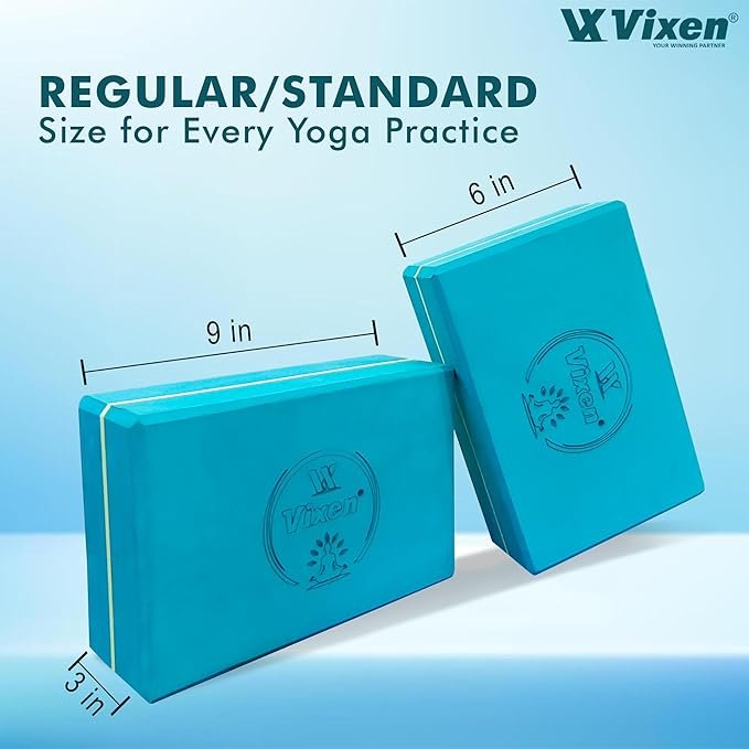 VIXEN YOGA BRICKS