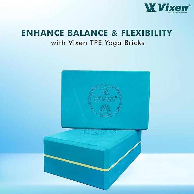 VIXEN YOGA BRICKS