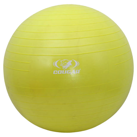 GYM BALL