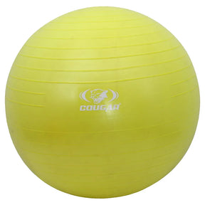 COUGAR Anti Burst Gym Ball/Swiss Birthing Stability Ball for Workout & Fitness/Yoga Ball with Foot Pump for Men/Women 
