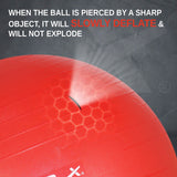 Vector X Gym Ball for Exercise Anti Burst Exercise Ball with Foot Pump for Workout Yoga Ball for Women and Men Swiss Ball for Balance Stability Training, Birthing Ball for Pregnancy, Fitness
