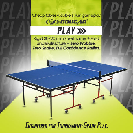 Table Tennis Table Play