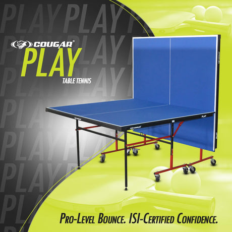 Table Tennis Table Play