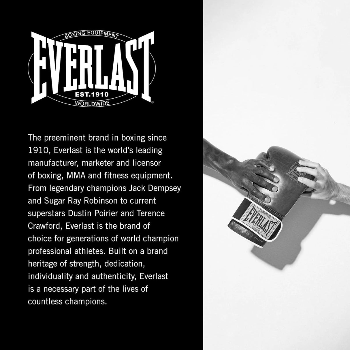 Everlast 1910 Pro Sparring Gloves