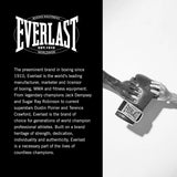 Everlast 1910 Pro Sparring Gloves
