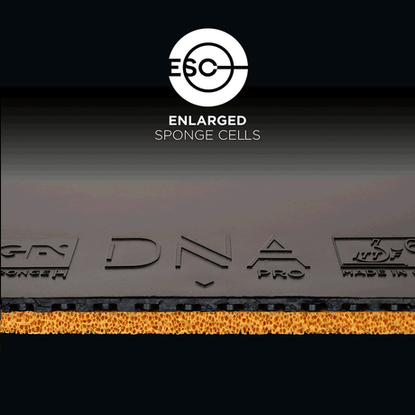 Cosco DNA HYBRID-M