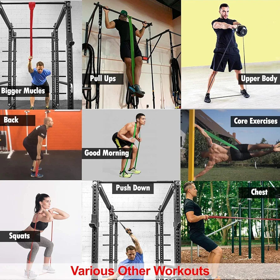 Cougar Resistance Band Pull Up Assist Power Band for Workout, Muscle Tone, Weight Loss Exercises & Body Powerlifting 