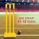 Rmax Plastic Cricket kit for Tennis, Rubber & Wind Ball All Age Groups and Sizes  
