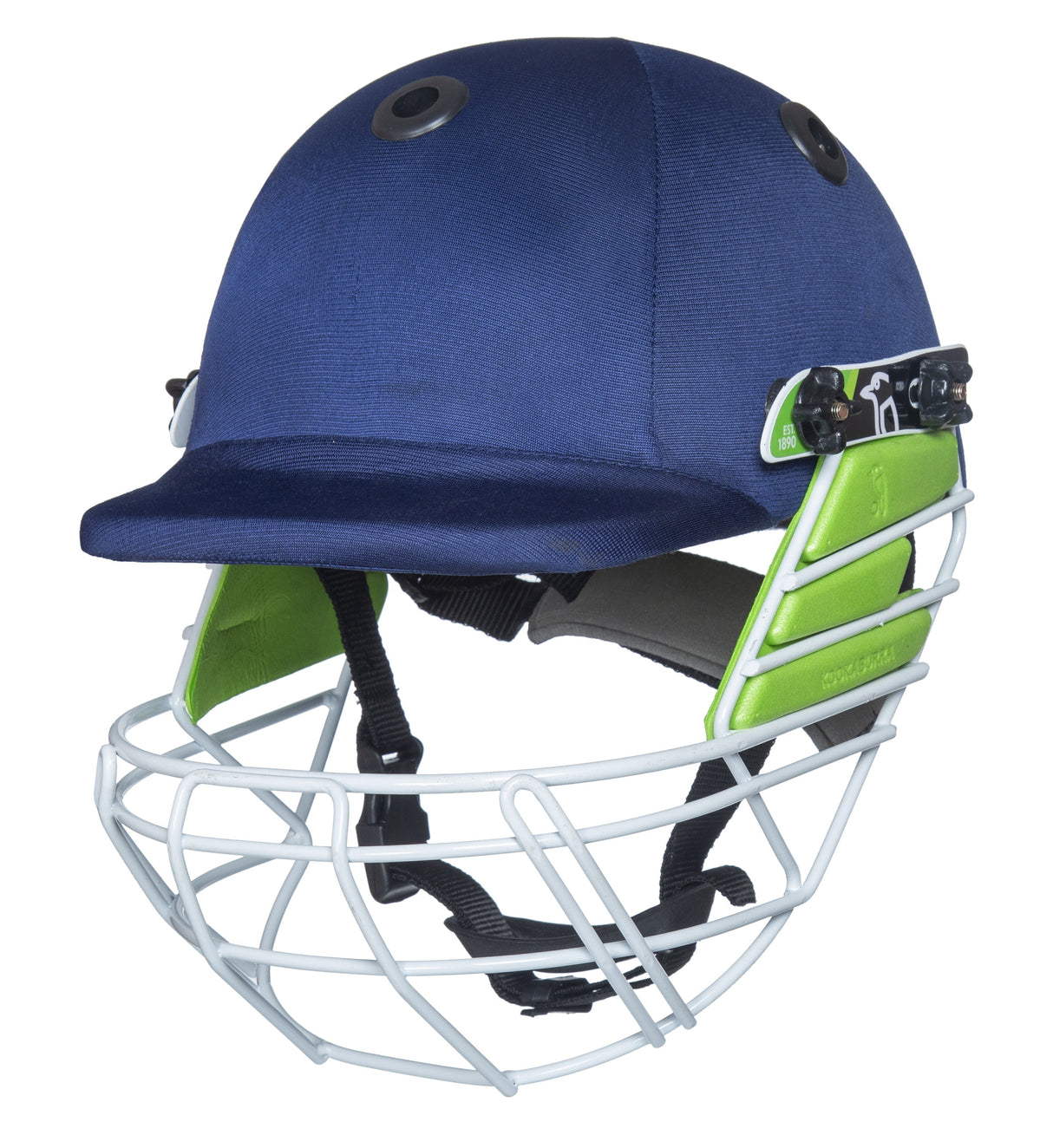 Cricket Helmet Pro 100