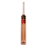 SS Soft Pro Players (With Fiber Tape) Kashmir Willow Cricket Bat | KIBI Sports