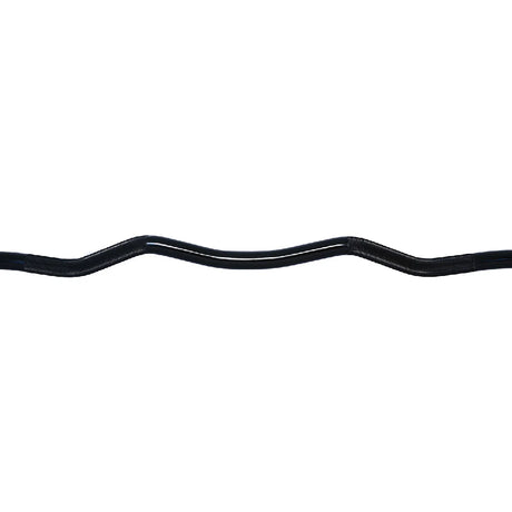 USI OCB ARES CURL BAR - Fitness Equipment