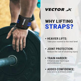 Vector X All in One Multipurpose Gym Bag Kit-Attacker 17 L Gym Sports Duffel Bag + Wrist Strap for Gym & Fitness Wrist Support + Nitro 700 ml Protein Shaker Bottle for Men & Women