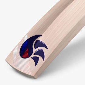 OvalZ English Willow Bat (Made in England)