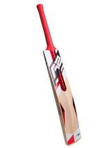 Kashmir Willow Cricket Bat - APEX