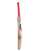 Kashmir Willow Cricket Bat - APEX