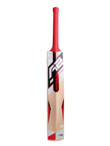 Kashmir Willow Cricket Bat - APEX