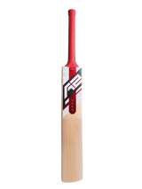 Kashmir Willow Cricket Bat - APEX