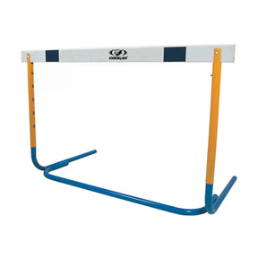 TRAINING HURDLE