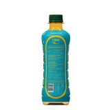 Knack Peach Iced Tea (PET Bottles) 300ml Pack of 12