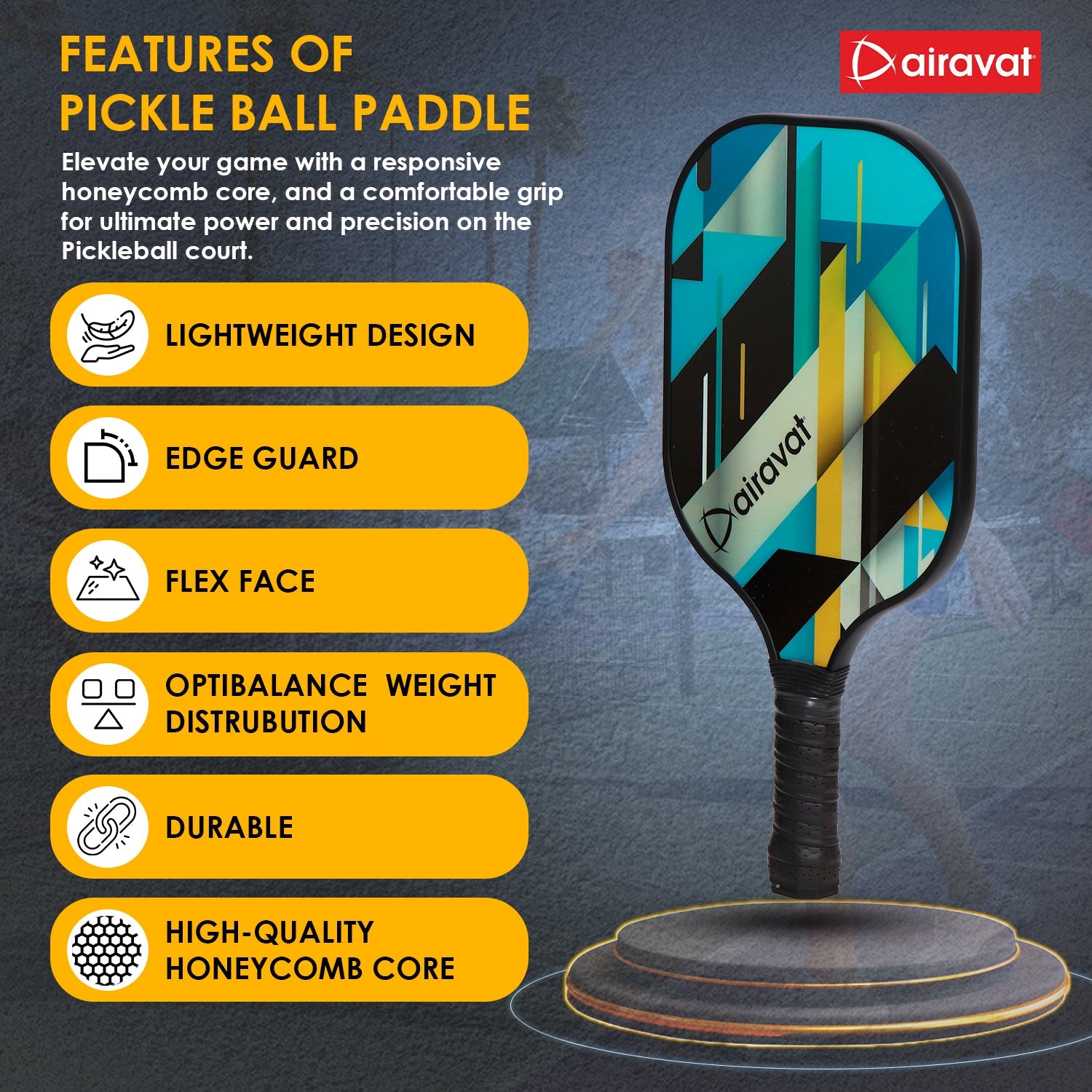 BANG PICKLEBALL PADDLE - 7403 WITH BAG