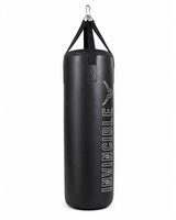 Invincible Rebound Punching Bag