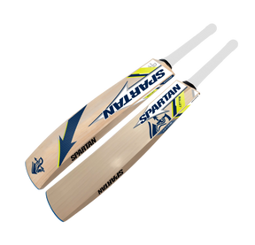 Bullet