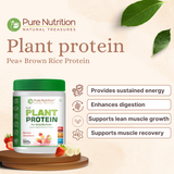 Vegan Protein Banana Strawberry  Plant-Based Protein (500g)