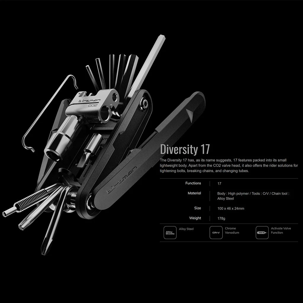 BIRZMAN Diversity 17 Functions