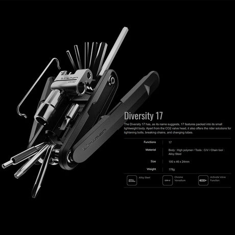 BIRZMAN Diversity 17 Functions