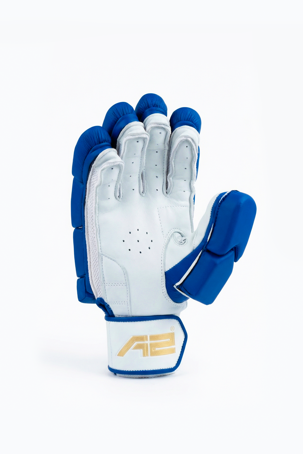 Cricket Batting Gloves - Verve splitx - Blue
