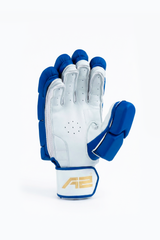 Cricket Batting Gloves - Verve splitx - Blue