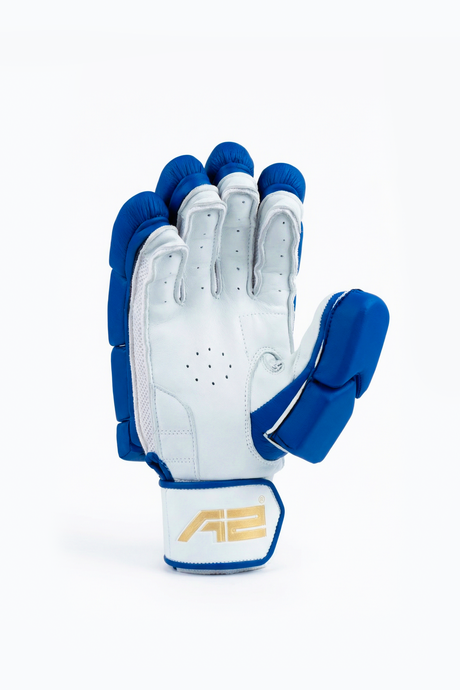 Cricket Batting Gloves - Verve splitx - Blue