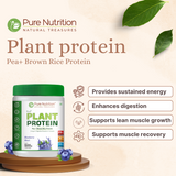 Vegan Protein Blueberry Blast Plant-Based Protein (500g)