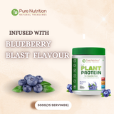 Vegan Protein Blueberry Blast Plant-Based Protein (500g)
