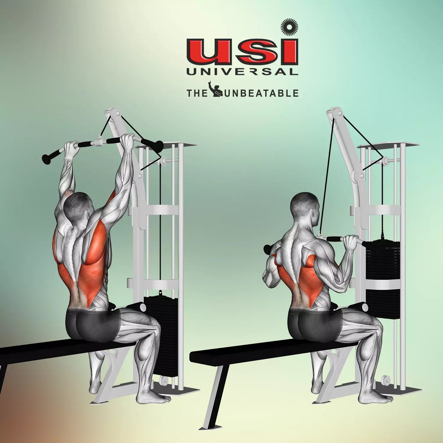 PRO LAT BAR SMALL (CALBS)