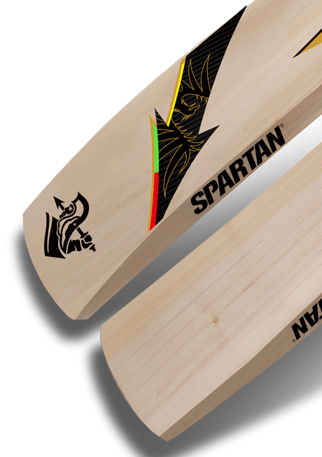 Spartan Chris Gayle ECO Kashmir Willow Cricket Bat with Spartan Cap