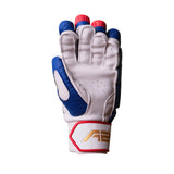 Cricket Batting Gloves - SplitX - Blue & Red