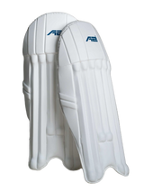Cricket Keeping Pad