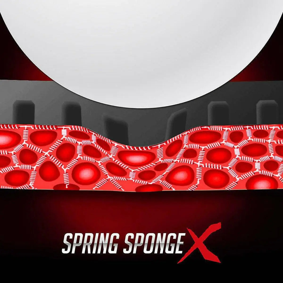 Dignics 09 C Table Tennis Rubber Butterfly | KIBI Sports Butterfly