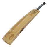 GLS Destroyer Engraved Kashmir Willow Scoop Bat For Hard Tennis Ball
