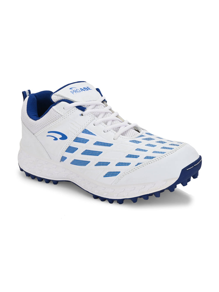 CG-103- Cricket Shoes