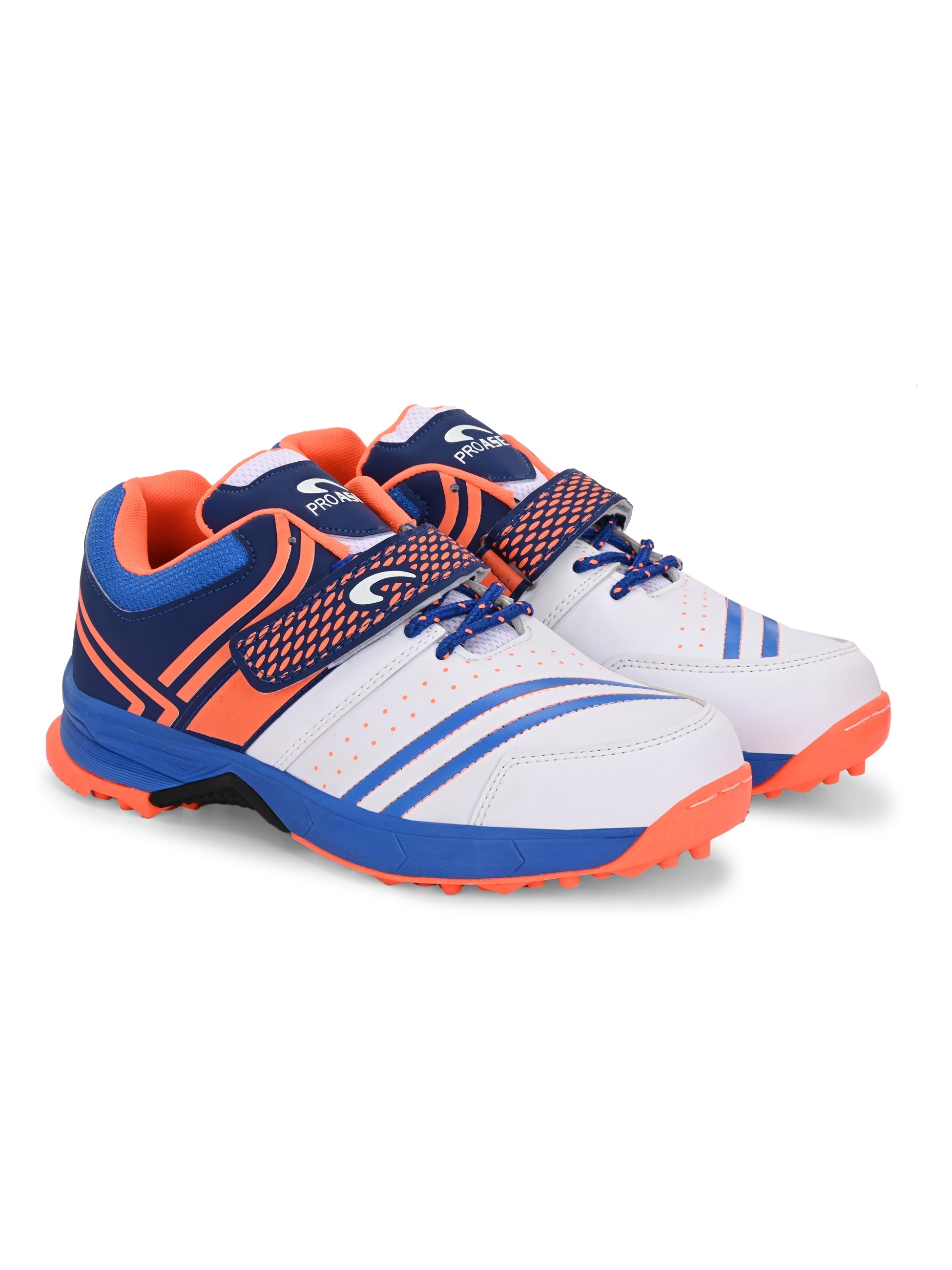 CG-312- Cricket Shoes
