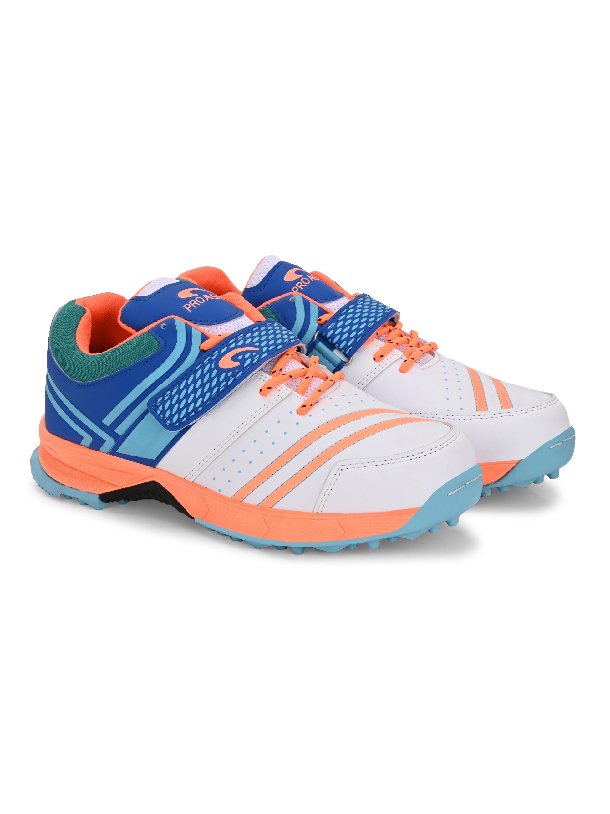 CG-312- Cricket Shoes