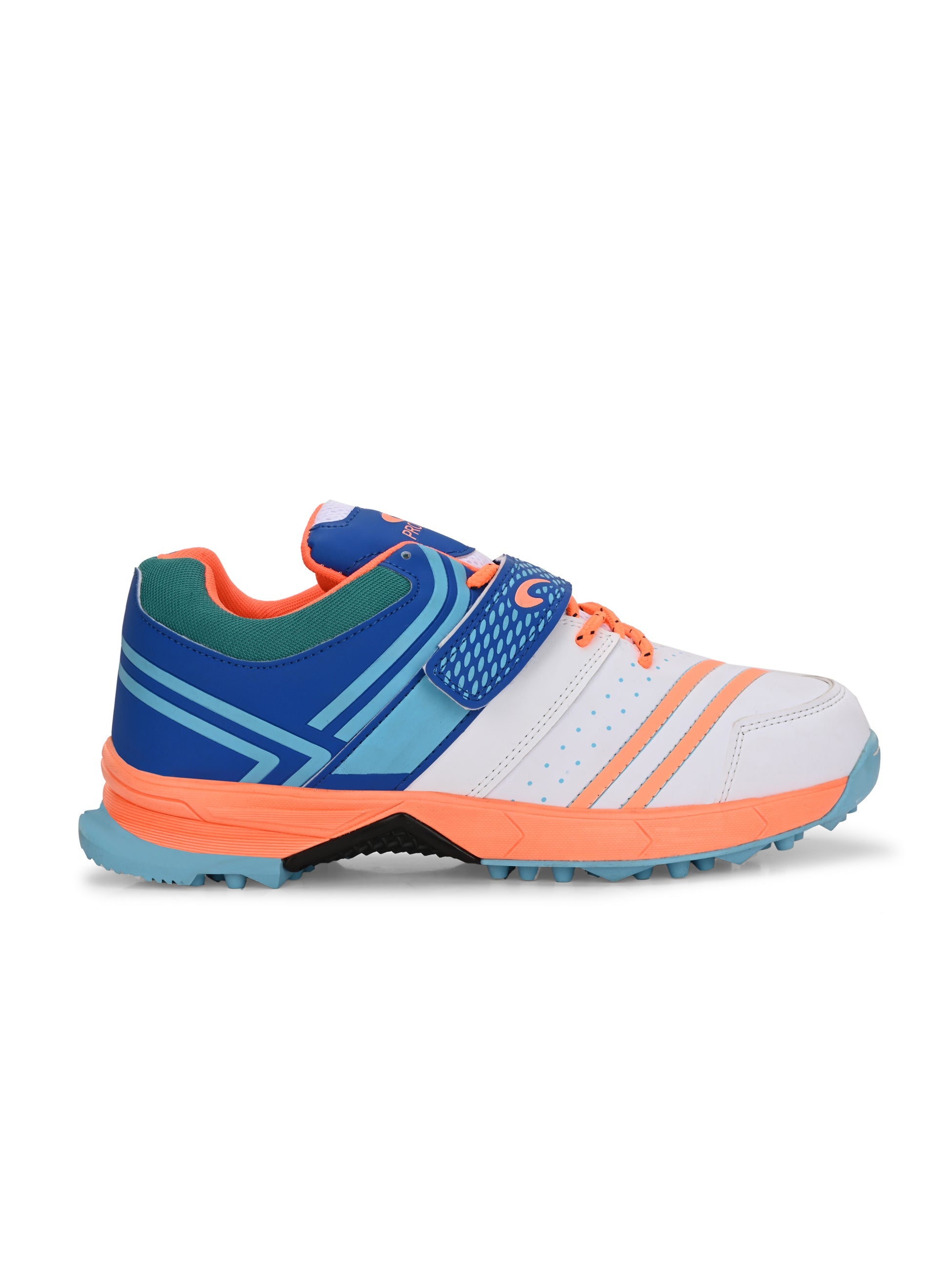 CG-312- Cricket Shoes